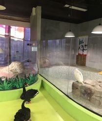 -七巧国萌宠乐园(龙湖天街店)