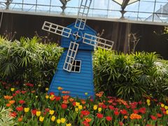 -南宫五洲植物乐园