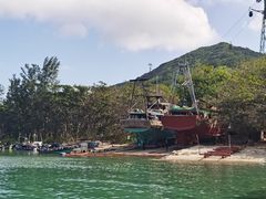 -蓝湾碧波·老字号·疍家非遗海上餐厅