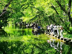 -西溪南古村落