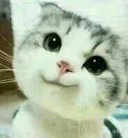 -长藤鬼校(龙翔店)