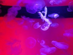 -沈阳海洋探索中心