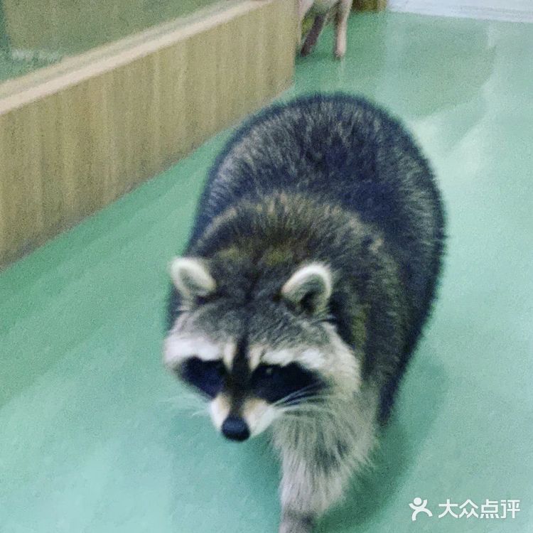 宝宝撒欢好去处｜摩西花园🌸