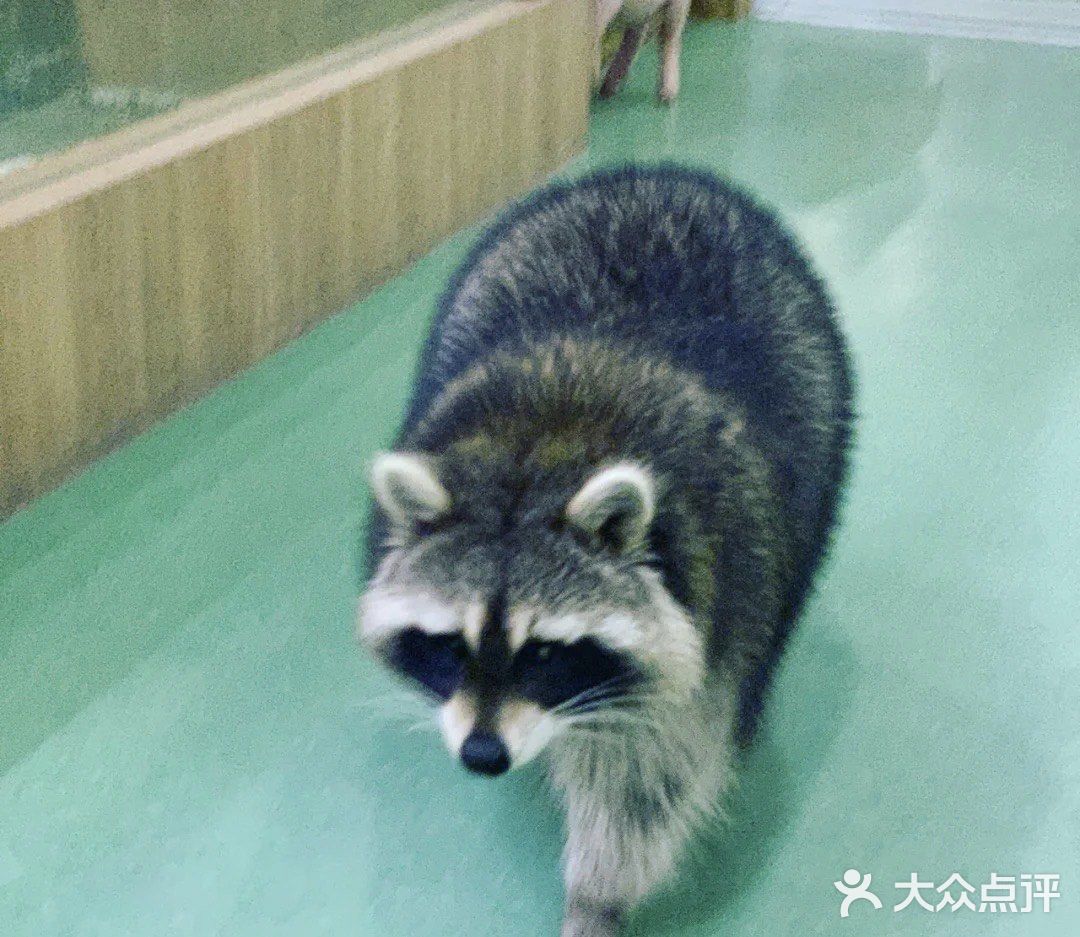 宝宝撒欢好去处｜摩西花园🌸