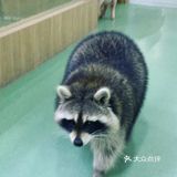 宝宝撒欢好去处｜摩西花园🌸