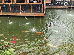 -花溪雨·森林餐厅(石基店)