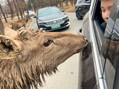 -秦皇岛野生动物园