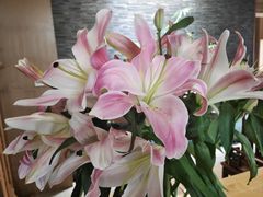 -南堂馆·新川菜(天府三街店)