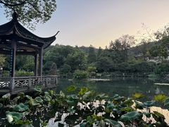 -杭州雅谷泉山庄酒店-餐厅