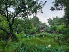 -宣武艺园