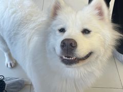 -怪兽屋·羊驼·猫咖·狗咖(俊华广场店)