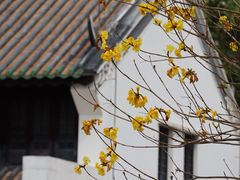 -光孝寺