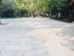 -杭州黄龙洞
