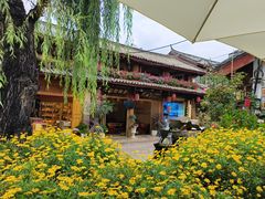 -春天里餐厅·云南创意菜特色美食(束河店)