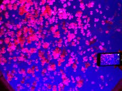 -波塞冬旅游度假区