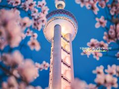 -东方明珠广播电视塔