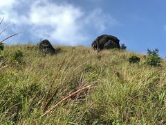 -坝光海滩