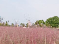 -映月湖中央公园