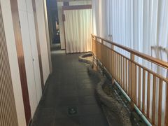 -醉霖生态餐厅(交大店)
