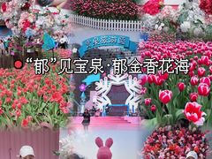 -河南宝泉旅游区