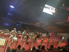-灵玲国际马戏城