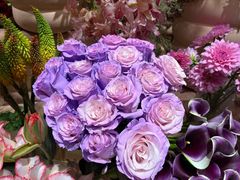 -BEAST野兽派(上海浦东嘉里城店)