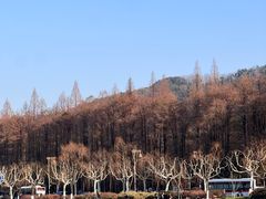 -九曜山