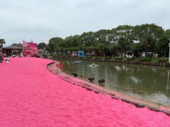 -苏州太湖西山岛开心农场
