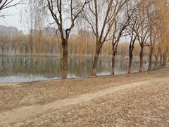 -东坝千亩湖公园