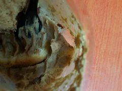 -美丽心情蛋糕(江苏路店)