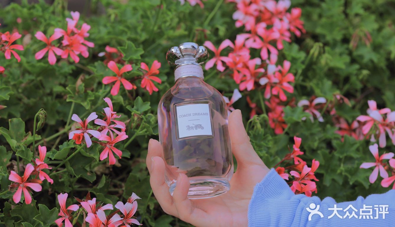 奔赴远方 寻觅自己——Coach梦想之旅