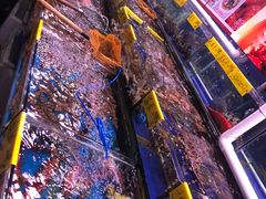 -四海之家(蛇口店)