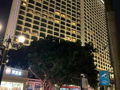 -广州白天鹅宾馆