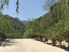 -以岭健康城·凯旋门大酒店-怡梦音乐西餐厅