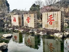 -香雪海