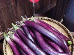 -凤凰山斑鱼馆(恭城店)