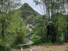 -靖西鹅泉风景区