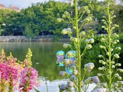 -人民公园(罗湖区)