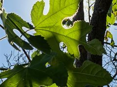 -北京西山国家森林公园