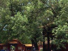 -南岳衡山风景名胜区