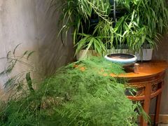 -慢丽江·云南野生菌土鸡锅(西山店)