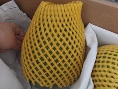 -海南海航航空信息系统公司