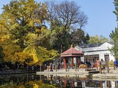 -香山公园