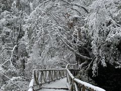 -龙苍沟森林公园