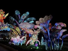 -淄博花灯齐彩城