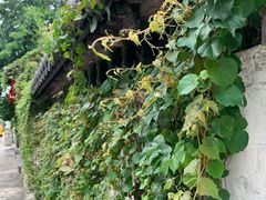 -三溪村