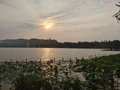 -湖畔居茶楼(湖滨店)