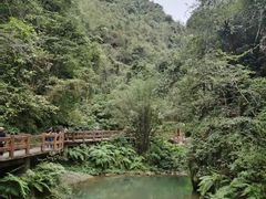 -重庆武隆天生三桥风景区-神鹰天坑