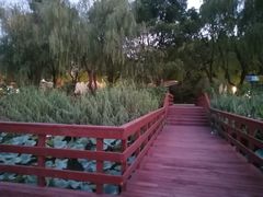 -新江湾城公园