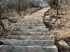 -北京西山国家森林公园